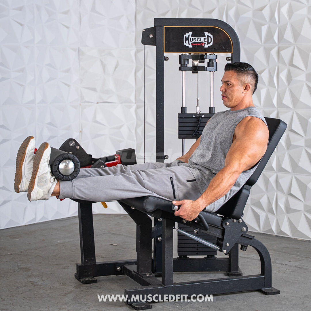 Classic V2 Selectorized Leg Extension Machine – Muscle D Fitness