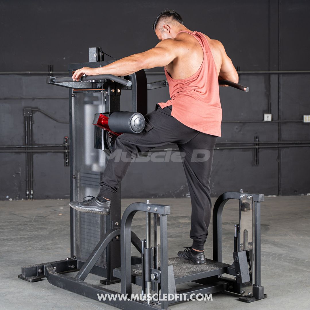 Muscle D Classic V2 Selectorized Multi-Hip Machine — 200 lb Stack | Hip & Glute Trainer | Commercial Grade