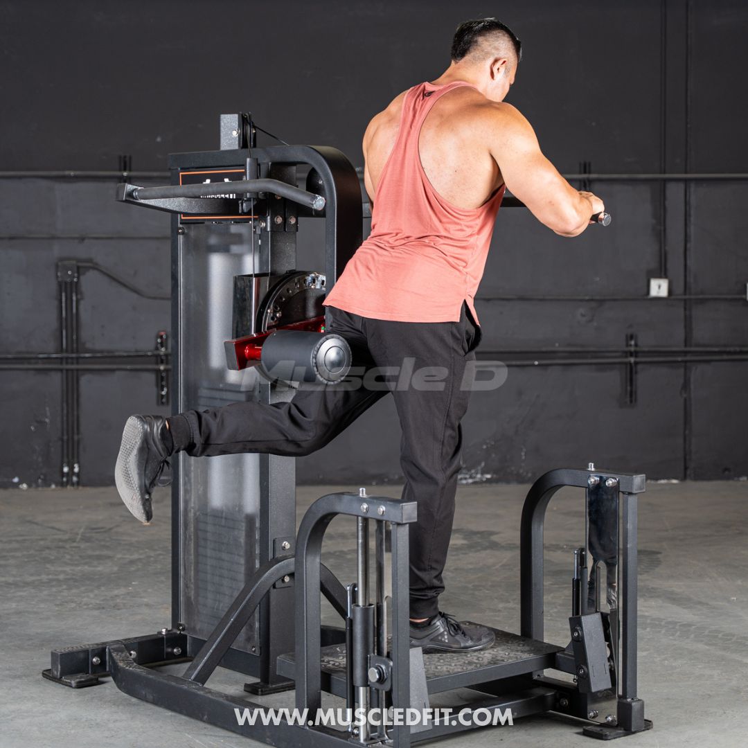 Muscle D Classic V2 Selectorized Multi-Hip Machine — 200 lb Stack | Hip & Glute Trainer | Commercial Grade