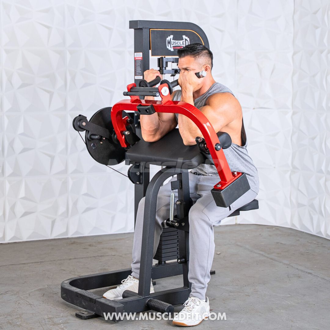 Muscle D Classic V2 Selectorized Biceps & Triceps Combo Machine — 150 lb Stack | Commercial Grade