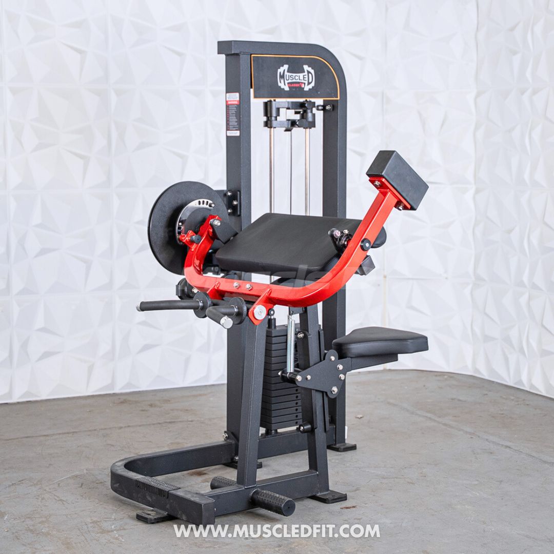 Muscle D Classic V2 Selectorized Biceps & Triceps Combo Machine — 150 lb Stack | Commercial Grade