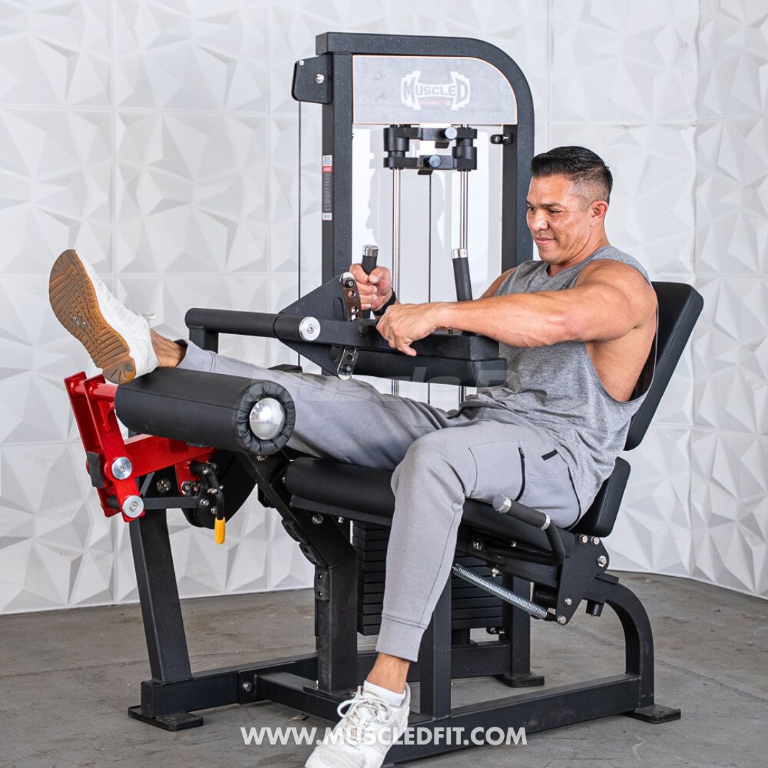 Classic V2 Selectorized Leg Extension / Seated Leg Curl Combo | Muscle D