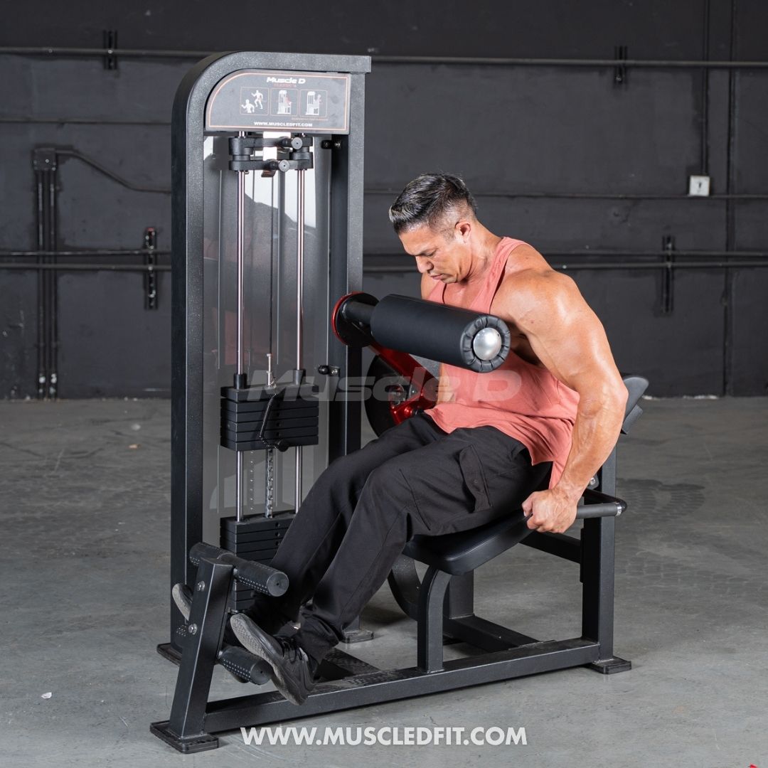 Classic V2 Selectorized Back / Ab Combo by Muscle D Fitness - Dual Function Core Machine