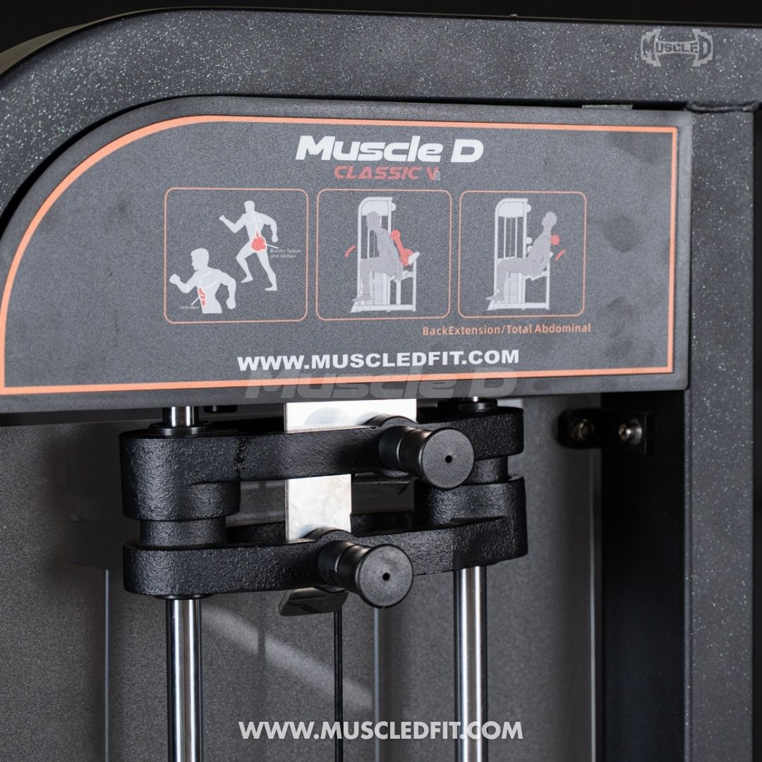 Classic V2 Selectorized Back / Ab Combo by Muscle D Fitness - Dual Function Core Machine