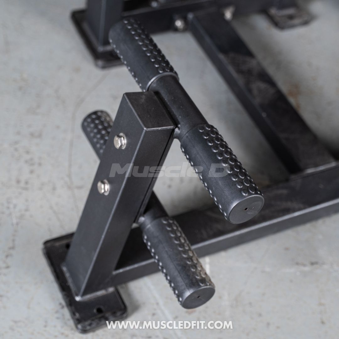 Classic V2 Selectorized Back / Ab Combo by Muscle D Fitness - Dual Function Core Machine