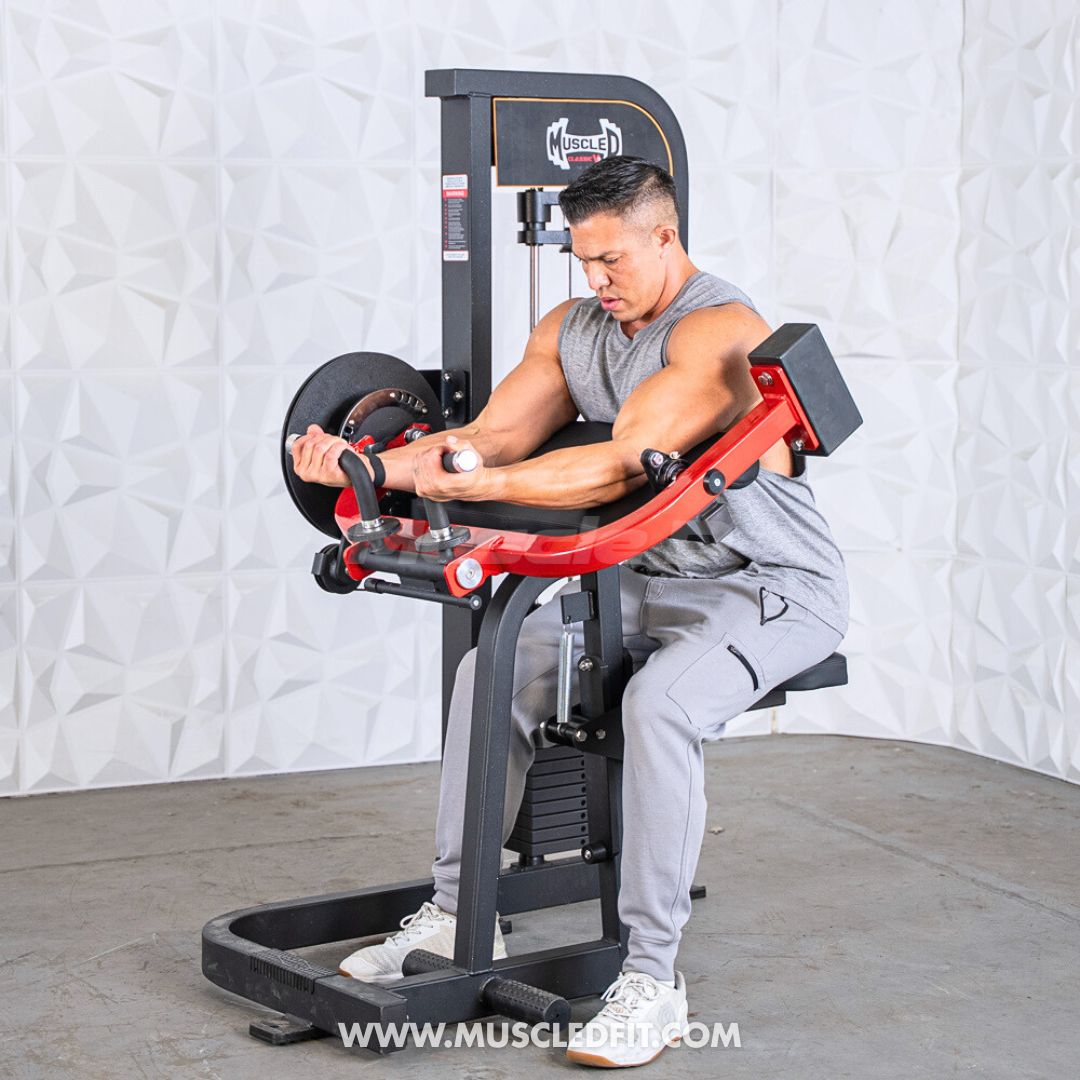 Muscle D Classic V2 Selectorized Biceps & Triceps Combo Machine — 150 lb Stack | Commercial Grade