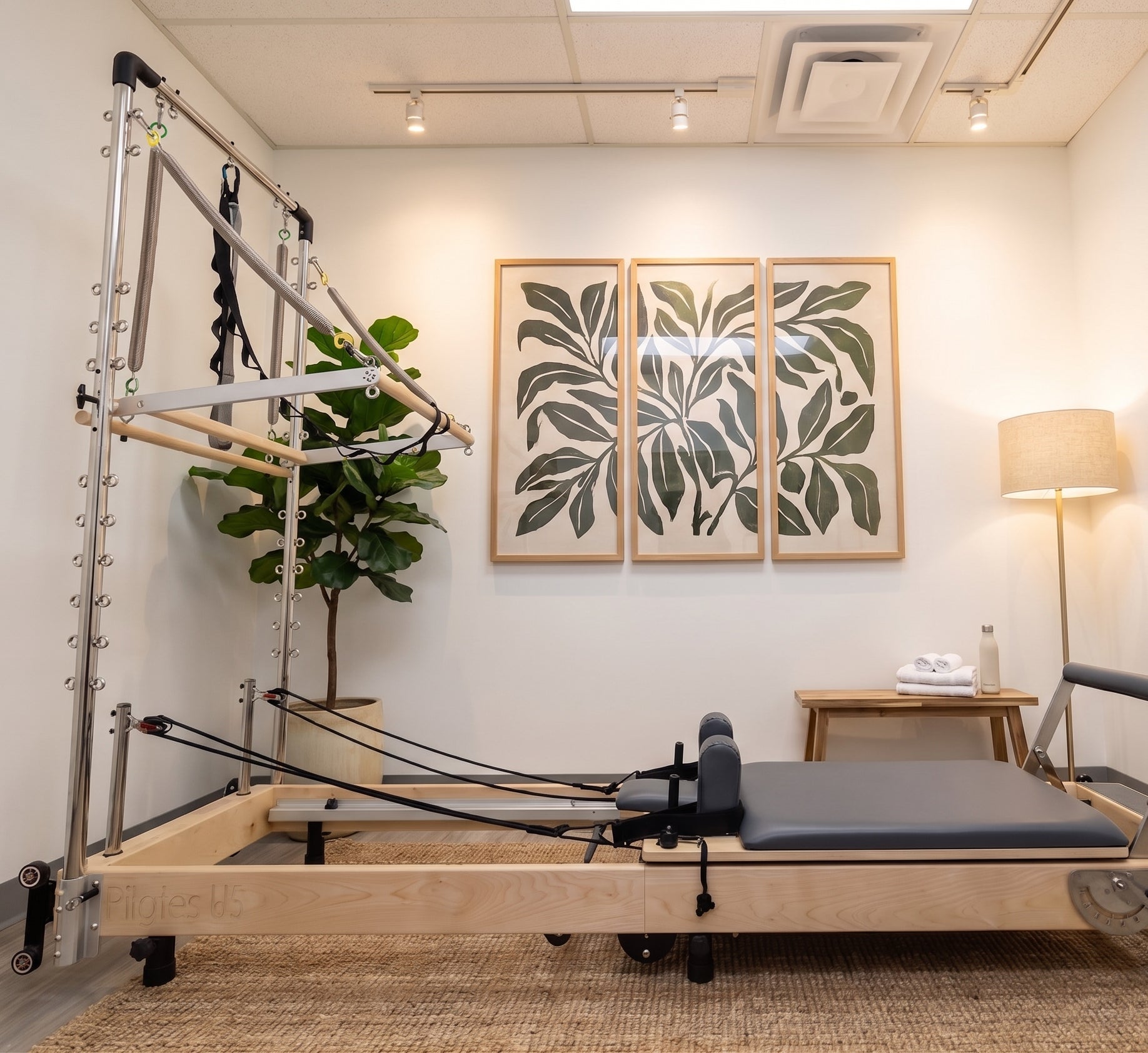 Janet Elite Plus | Foldable Pilates Reformer | Maple Wood | 6 Springs | Optional Tower | Home & Studio